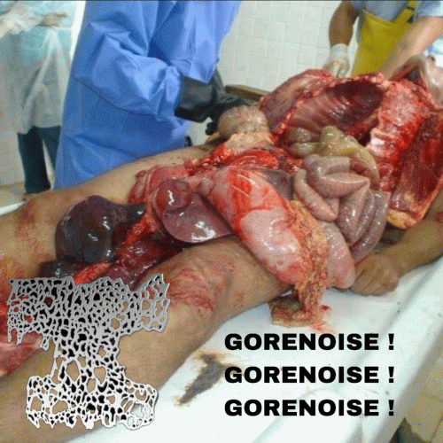 Death By Hornets : Gorenoise ! Gorenoise ! Gorenoise !